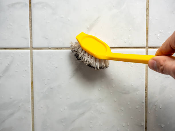 Best Mold Cleaning Services  in Bottineau, ND
