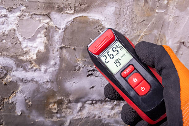 Best Mold Testing  in Bottineau, ND