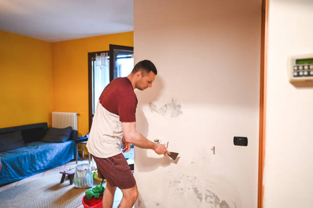 Best Fast Mold Removal  in Bottineau, ND
